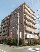 フリーダム梅の木