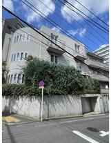 イーストグレーコート