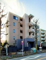 カーサブライト・DDS