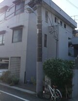 グレイスヤクモ