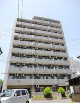 ホタカリュミエール・イワタ